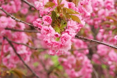 常州线下个人借款平台一站式服务，轻松解决资金难题