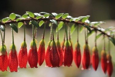 常州零用贷短借：轻松解决临时资金需求